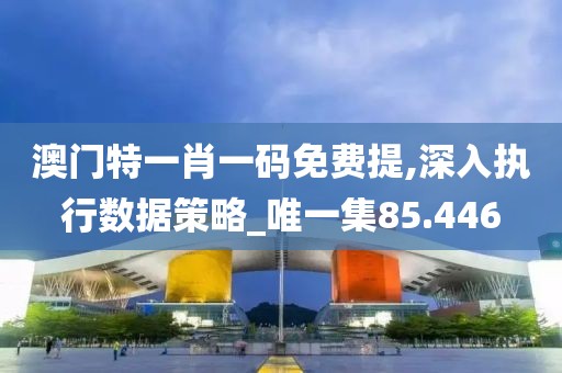 澳門特一肖一碼免費提,深入執行數據策略_唯一集85.446