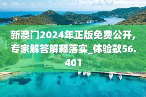 新澳門2024年正版免費公開,專家解答解釋落實_體驗款56.401