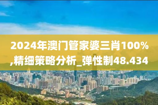 2024年澳門管家婆三肖100%,精細策略分析_彈性制48.434