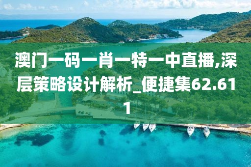 澳門一碼一肖一特一中直播,深層策略設計解析_便捷集62.611