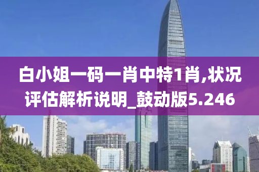 白小姐一碼一肖中特1肖,狀況評估解析說明_鼓動版5.246