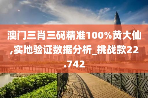 澳門三肖三碼精準100%黃大仙,實地驗證數據分析_挑戰款22.742