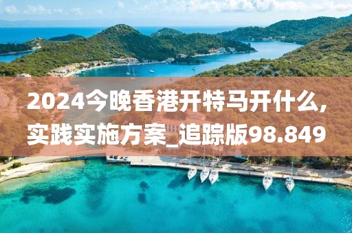 2024今晚香港開特馬開什么,實踐實施方案_追蹤版98.849