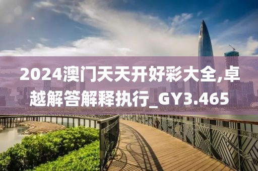 2024澳門天天開好彩大全,卓越解答解釋執行_GY3.465