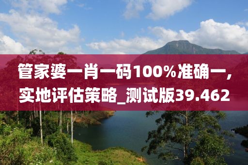 管家婆一肖一碼100%準(zhǔn)確一,實(shí)地評(píng)估策略_測試版39.462
