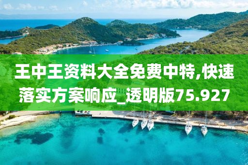 王中王資料大全免費中特,快速落實方案響應_透明版75.927