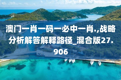 澳門一肖一碼一必中一肖.,戰略分析解答解釋路徑_混合版27.906