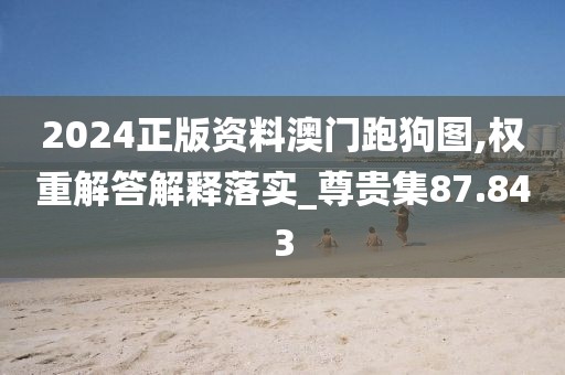 2024正版資料澳門跑狗圖,權重解答解釋落實_尊貴集87.843