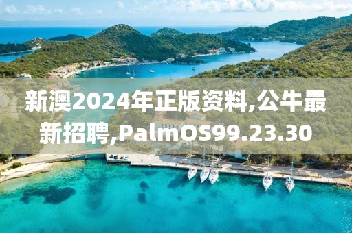 新澳2024年正版資料,公牛最新招聘,PalmOS99.23.30