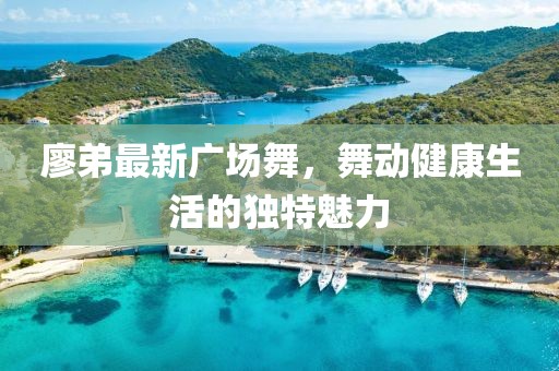 廖弟最新廣場舞，舞動健康生活的獨特魅力