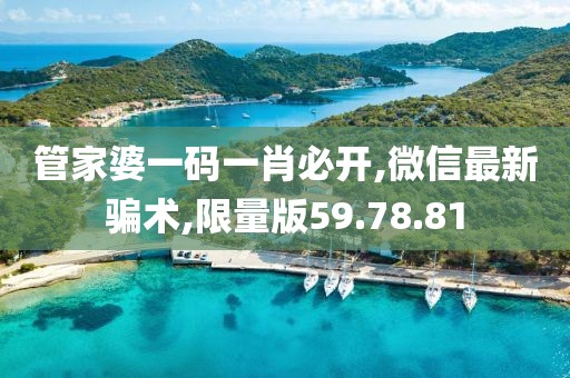 管家婆一碼一肖必開,微信最新騙術,限量版59.78.81