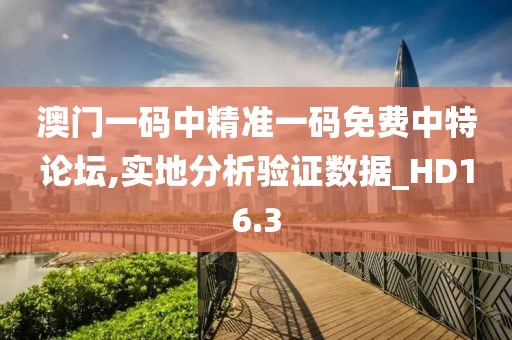 澳門一碼中精準一碼免費中特論壇,實地分析驗證數據_HD16.3
