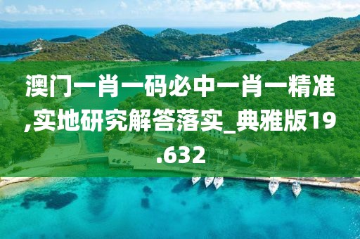 澳門一肖一碼必中一肖一精準,實地研究解答落實_典雅版19.632