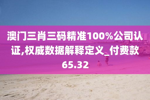 澳門三肖三碼精準100%公司認證,權威數據解釋定義_付費款65.32