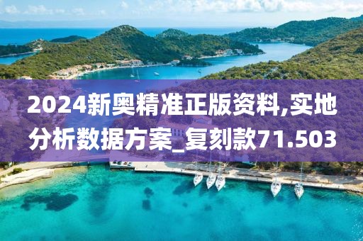 2024新奧精準正版資料,實地分析數據方案_復刻款71.503