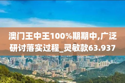 澳門王中王100%期期中,廣泛研討落實過程_靈敏款63.937