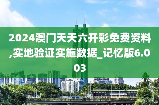 2024澳門天天六開彩免費資料,實地驗證實施數據_記憶版6.003