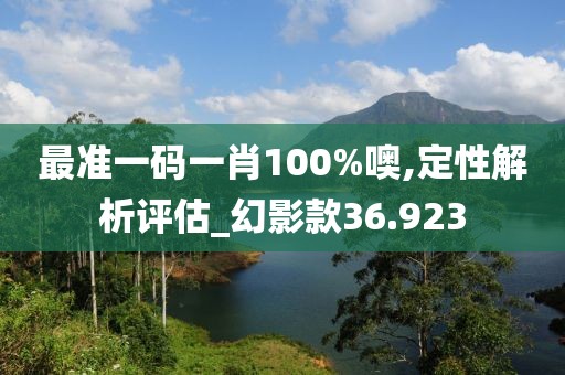 最準一碼一肖100%噢,定性解析評估_幻影款36.923
