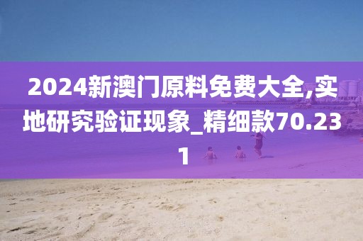 2024新澳門原料免費大全,實地研究驗證現象_精細款70.231