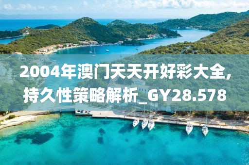 2004年澳門天天開好彩大全,持久性策略解析_GY28.578