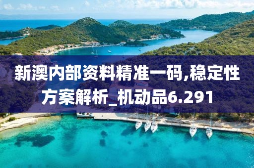 新澳內部資料精準一碼,穩定性方案解析_機動品6.291