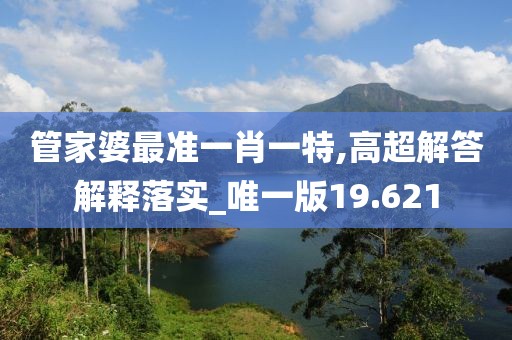 管家婆最準一肖一特,高超解答解釋落實_唯一版19.621