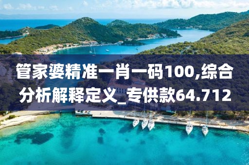 管家婆精準一肖一碼100,綜合分析解釋定義_專供款64.712