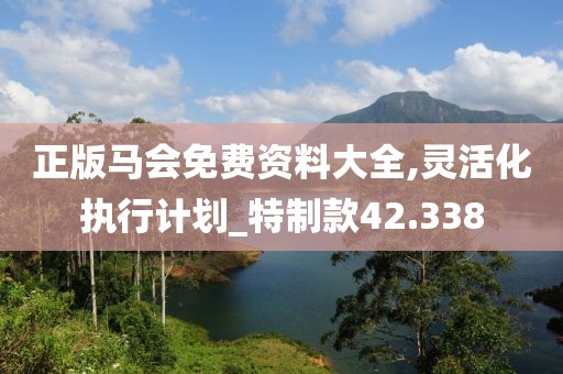 正版馬會免費資料大全,靈活化執行計劃_特制款42.338