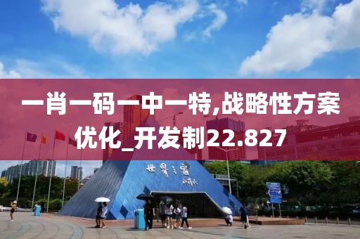 一肖一碼一中一特,戰略性方案優化_開發制22.827