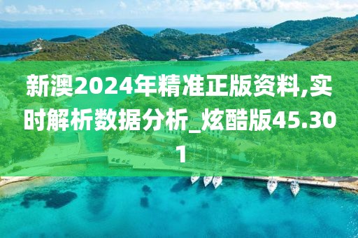 新澳2024年精準正版資料,實時解析數據分析_炫酷版45.301