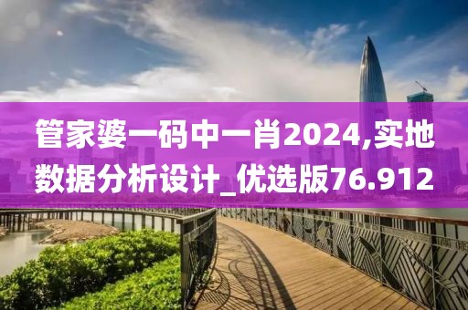 管家婆一碼中一肖2024,實地數據分析設計_優選版76.912