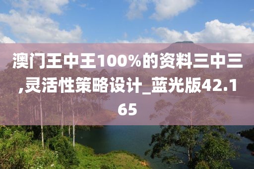 澳門王中王100%的資料三中三,靈活性策略設計_藍光版42.165