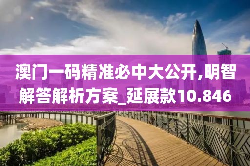 澳門一碼精準必中大公開,明智解答解析方案_延展款10.846