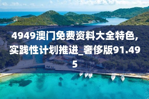 4949澳門免費資料大全特色,實踐性計劃推進_奢侈版91.495