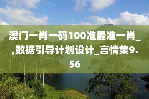 澳門一肖一碼100準最準一肖_,數據引導計劃設計_言情集9.56