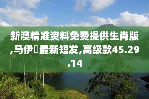 新澳精準資料免費提供生肖版,馬伊琾最新短發,高級款45.29.14