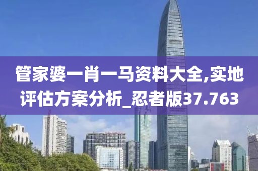 管家婆一肖一馬資料大全,實(shí)地評估方案分析_忍者版37.763
