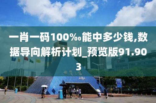 一肖一碼100‰能中多少錢,數據導向解析計劃_預覽版91.903