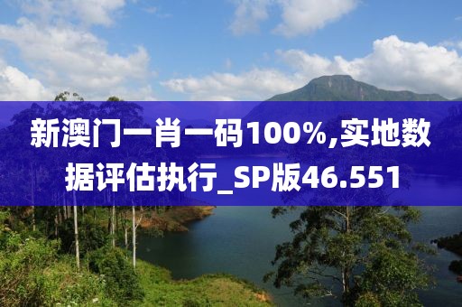 新澳門一肖一碼100%,實地數據評估執行_SP版46.551