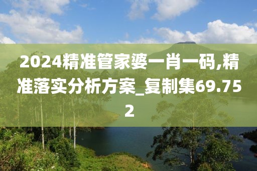 2024精準管家婆一肖一碼,精準落實分析方案_復制集69.752