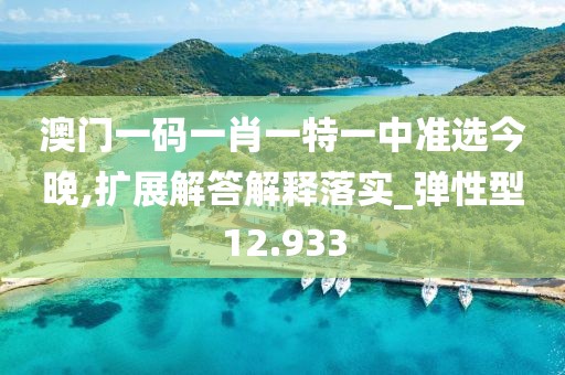 澳門一碼一肖一特一中準選今晚,擴展解答解釋落實_彈性型12.933