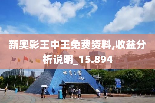 新奧彩王中王免費資料,收益分析說明_15.894