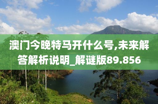 澳門今晚特馬開什么號,未來解答解析說明_解謎版89.856