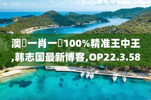 澳門一肖一碼100%精準王中王,韓志國最新博客,OP22.3.58