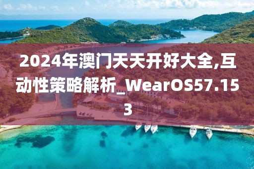 2024年澳門天天開好大全,互動性策略解析_WearOS57.153