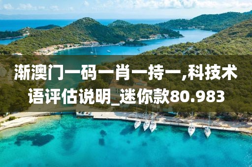 漸澳門一碼一肖一持一,科技術語評估說明_迷你款80.983