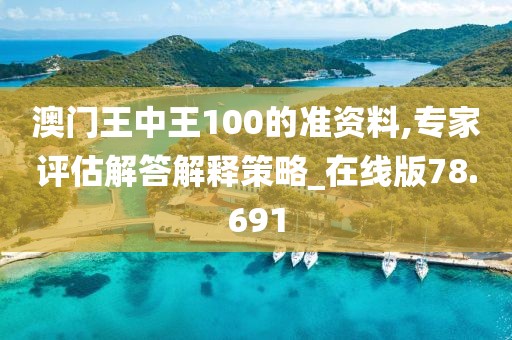 澳門王中王100的準資料,專家評估解答解釋策略_在線版78.691