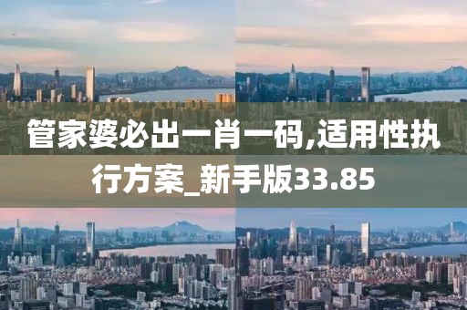 管家婆必出一肖一碼,適用性執行方案_新手版33.85