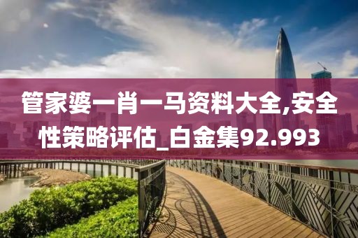 管家婆一肖一馬資料大全,安全性策略評估_白金集92.993