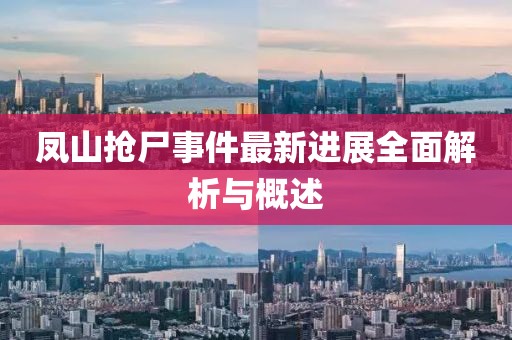 鳳山搶尸事件最新進展全面解析與概述